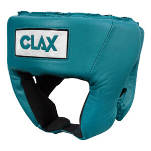 Head Guard